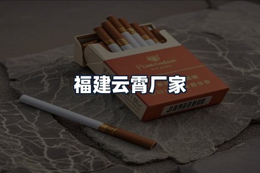 福建云霄厂家
